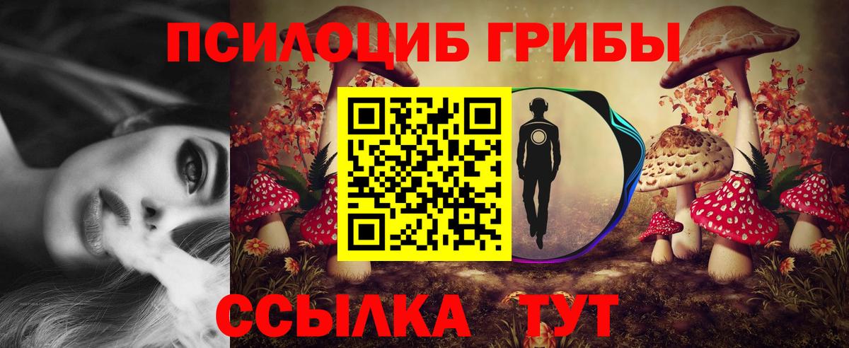 Королёв  Псилоцибиновые грибы GOLDEN TEACHER  Вход с VPN 